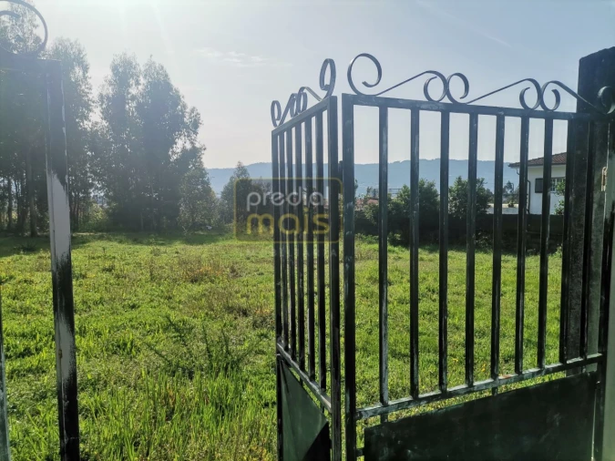 Terreno para Venda em Landim Foto 5