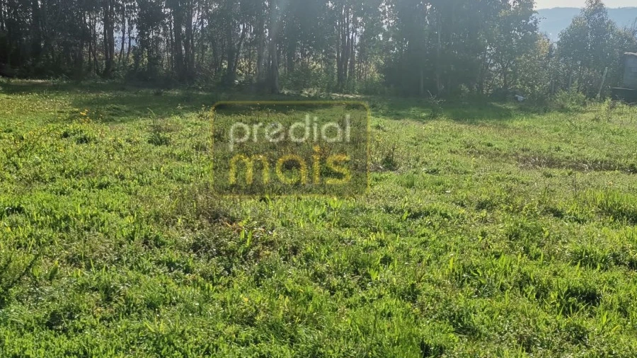 Terreno para Venda em Landim