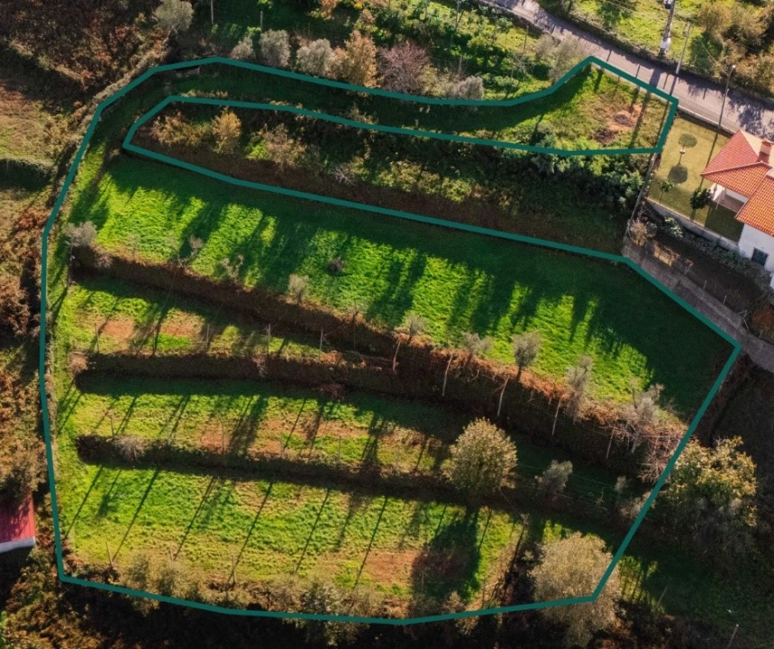 Terreno para Venda em Sobradelo da Goma Foto 1