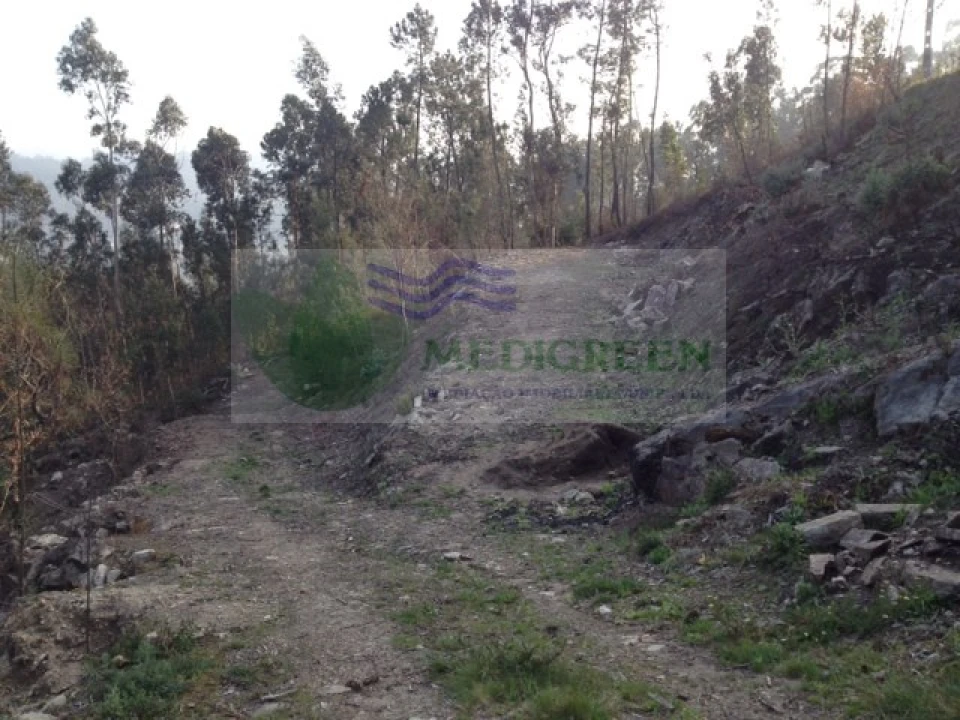 Terreno para Venda em Couto de Esteves Foto 4