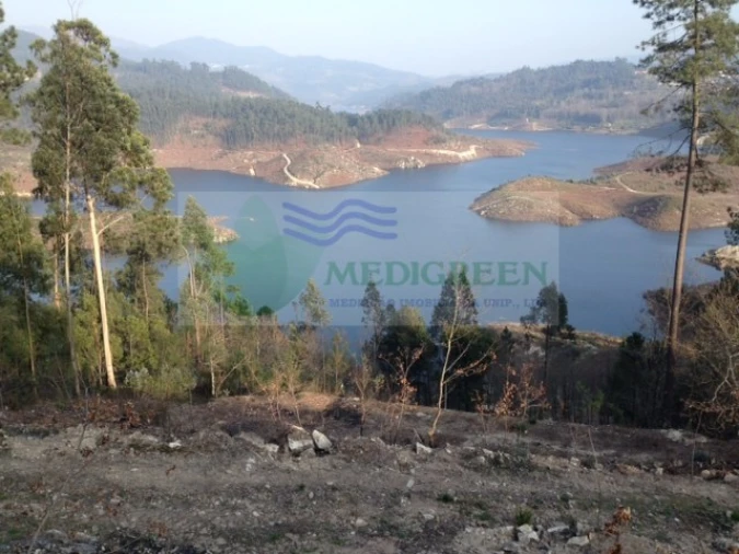 Terreno para Venda em Couto de Esteves Foto 1