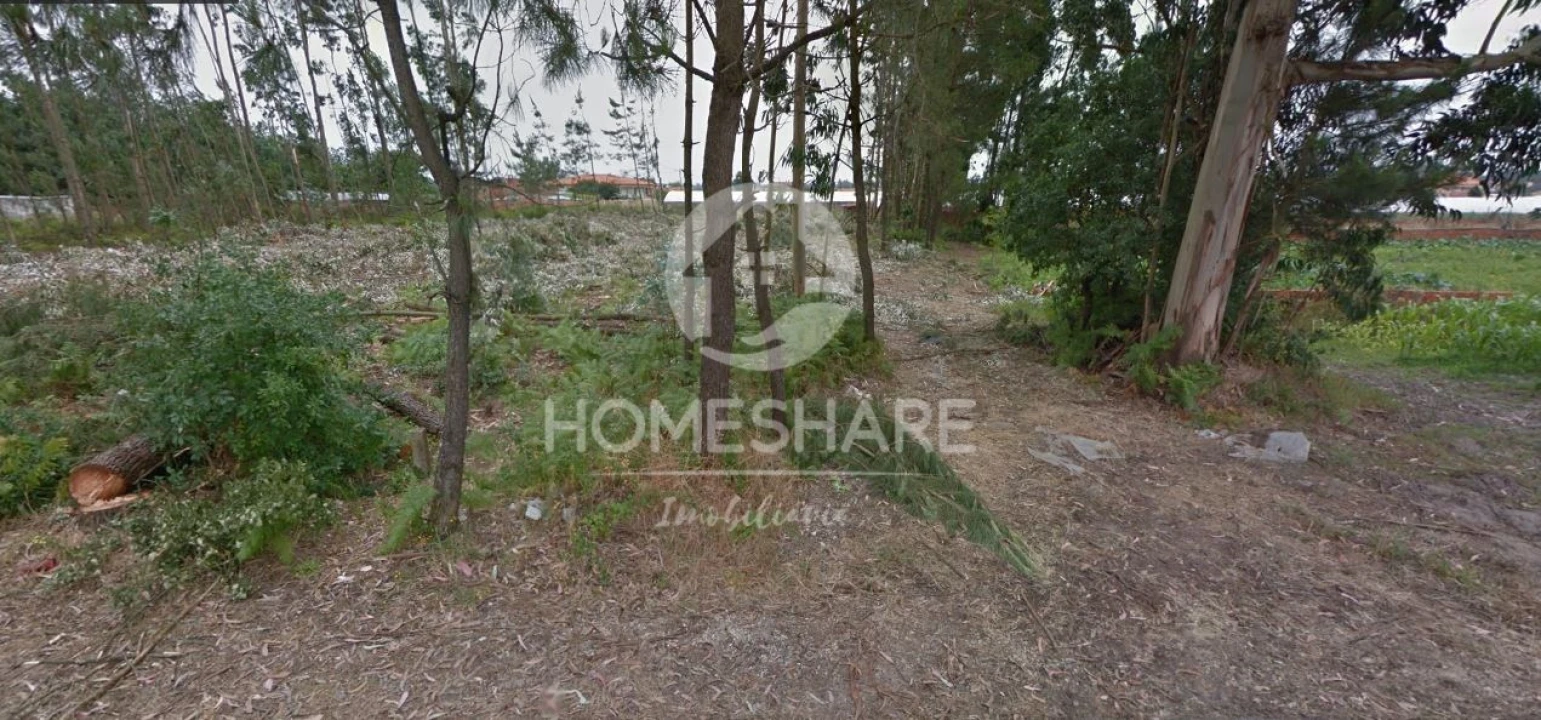 Terreno para Venda em Ponte de Vagos e Santa Catarina Foto 2