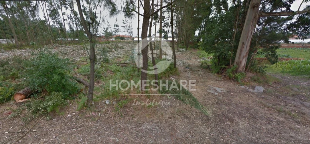 Terreno para Venda em Ponte de Vagos e Santa Catarina Foto 2