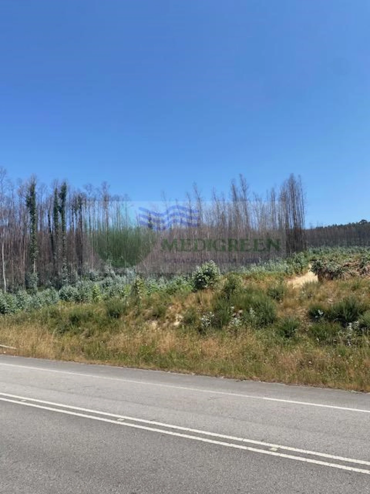 Terreno para Venda em Silva Escura e Dornelas Foto 2