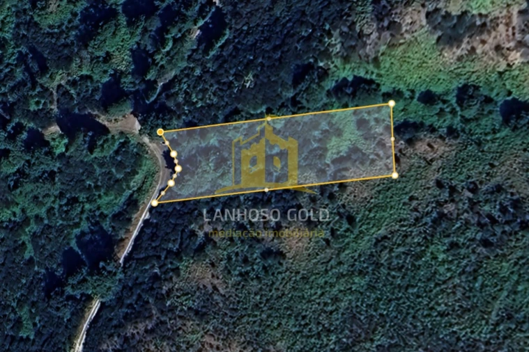 Terreno para Venda em Rio Douro Foto 1