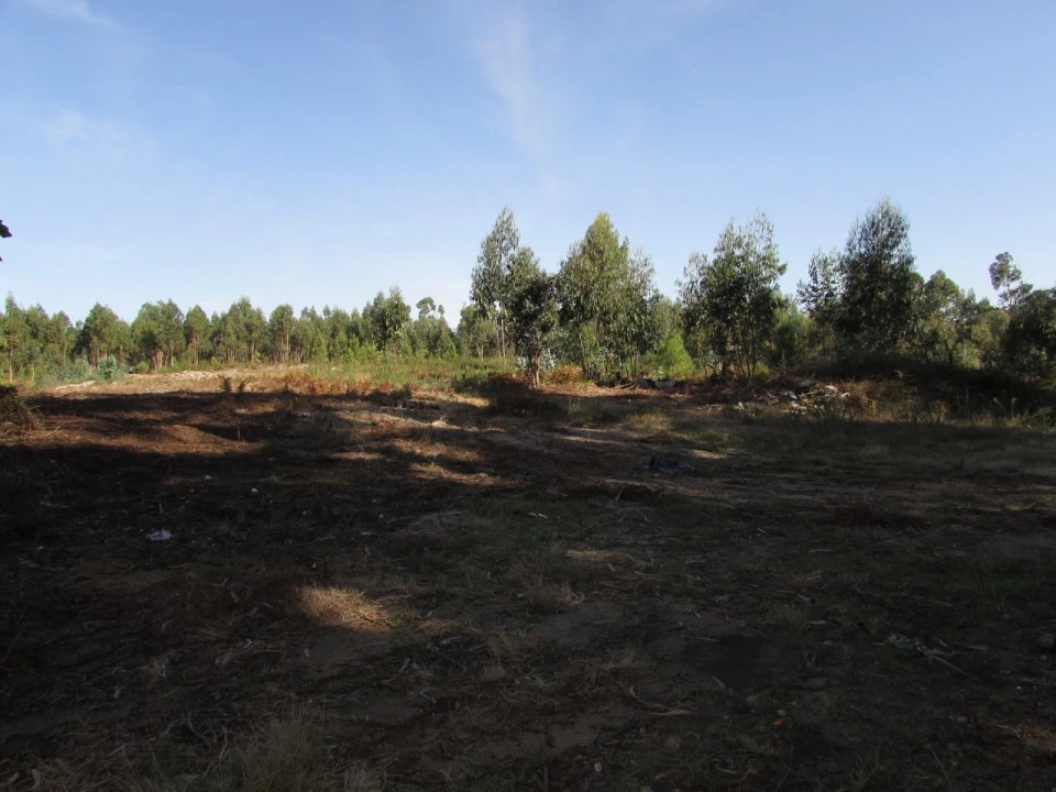 Terreno para Venda em Vila Chã Foto 3