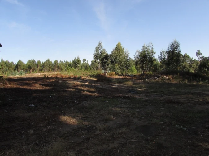 Terreno para Venda em Vila Chã Foto 3