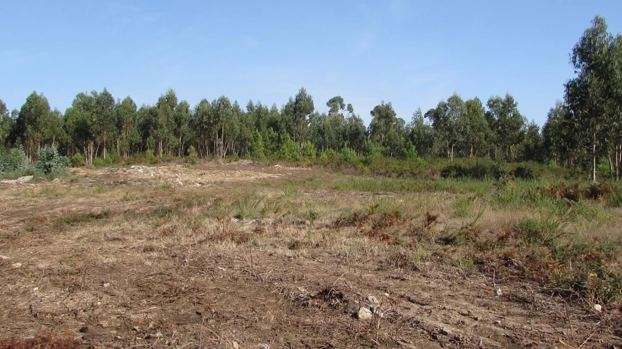 Terreno para Venda em Vila Chã