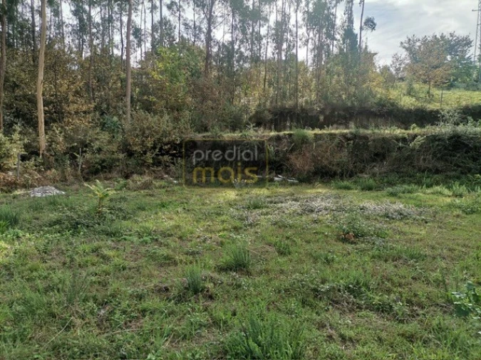 Terreno para Venda em Castelões Foto 4