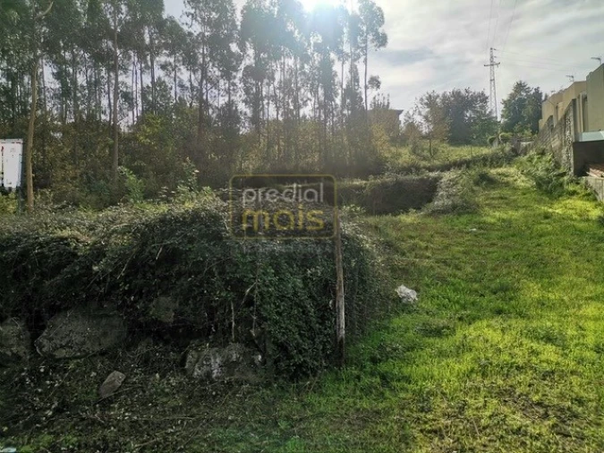 Terreno para Venda em Castelões Foto 5
