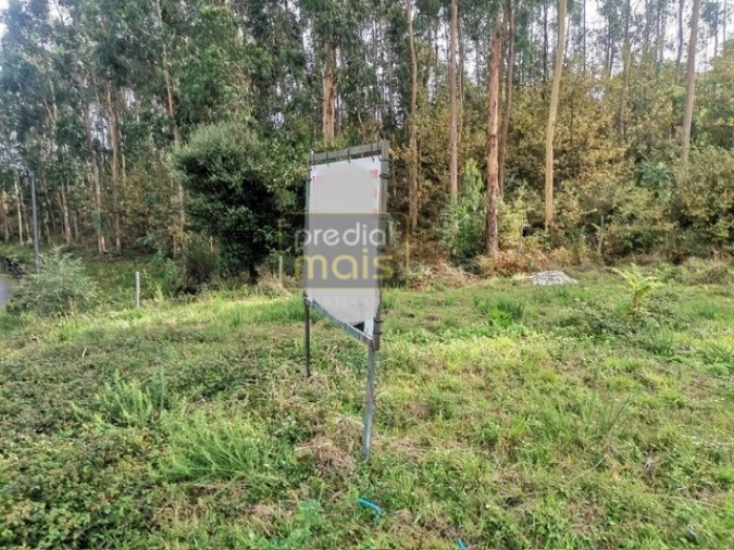 Terreno para Venda em Castelões Foto 6