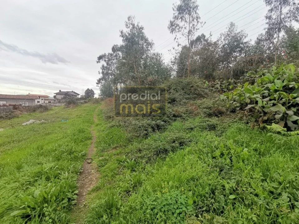 Terreno para Venda em Pedome Foto 2