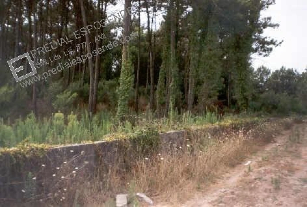 Terreno para Venda em Chafe Foto 1