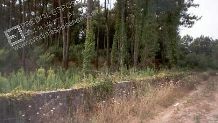 Terreno para Venda em Chafe