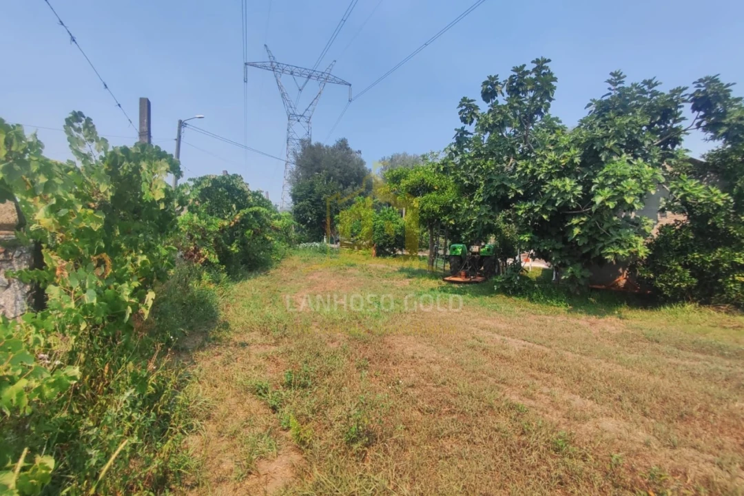 Terreno para Venda em Verim, Friande e Ajude Foto 5