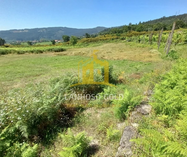 Terreno para Venda em Lanhoso Foto 6