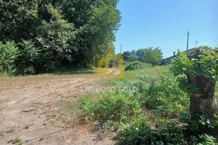 Terreno para Venda em Briteiros Santo Estêvão e Donim Foto 4