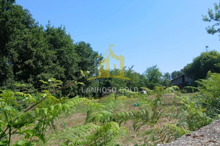 Terreno para Venda em Briteiros Santo Estêvão e Donim Foto 5