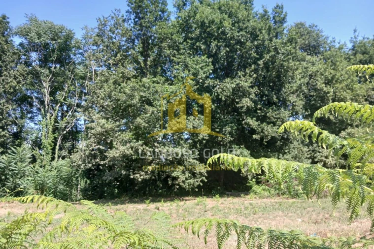 Terreno para Venda em Briteiros Santo Estêvão e Donim Foto 6