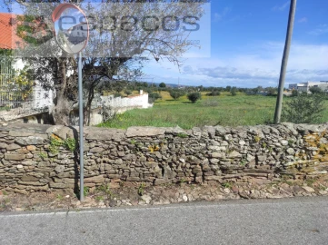 Terreno para Venda em Castelo Branco