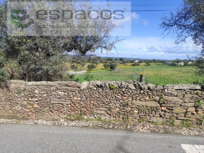Terreno para Venda em Castelo Branco Foto 2