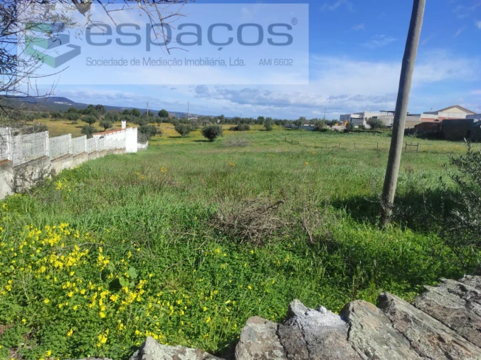 Terreno para Venda em Castelo Branco Foto 3