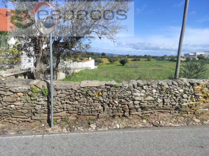 Terreno para Venda em Castelo Branco Foto 4