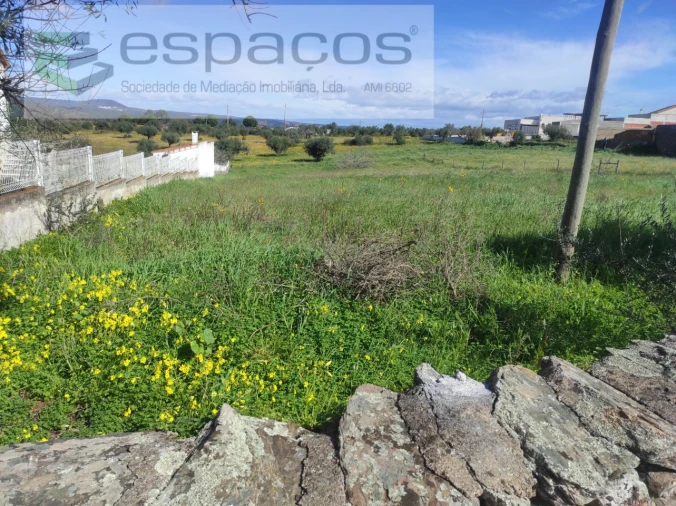 Terreno para Venda em Castelo Branco Foto 5