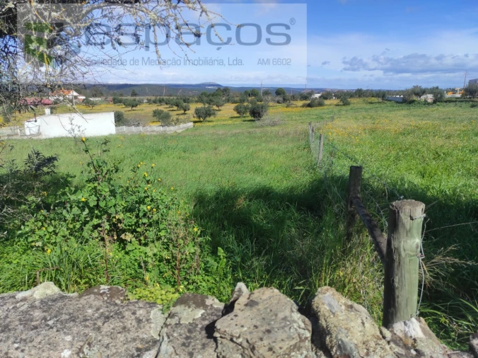 Terreno para Venda em Castelo Branco Foto 6
