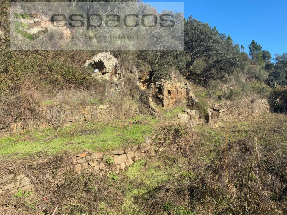 Terreno para Venda em Lavacolhos Foto 4