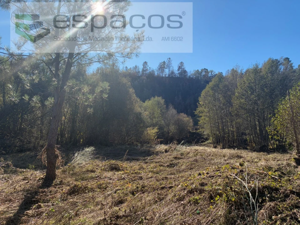 Terreno para Venda em Lavacolhos Foto 6