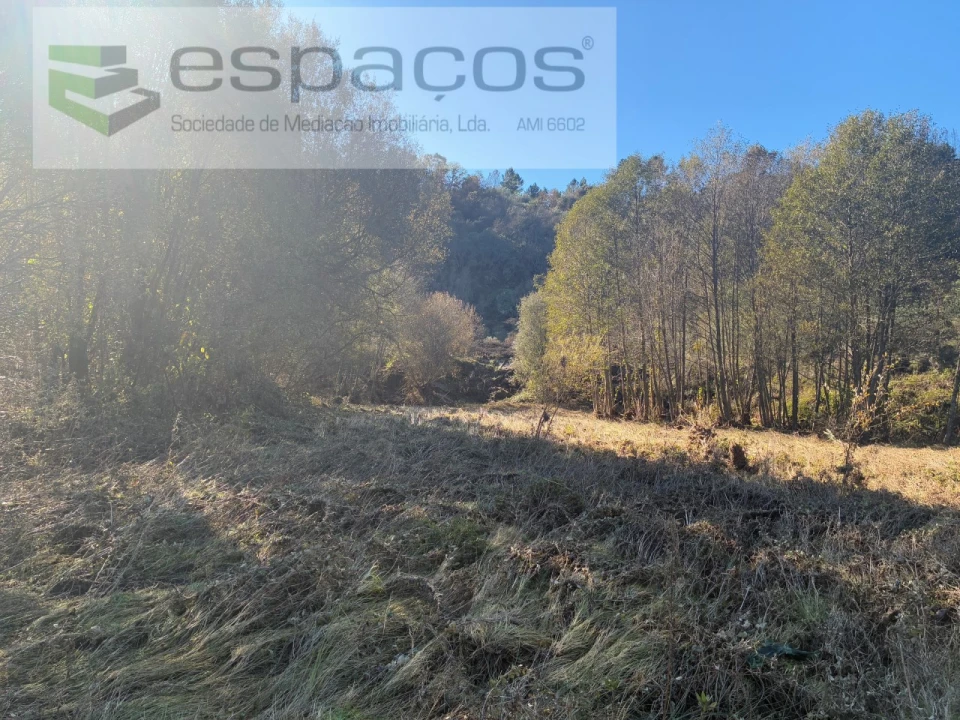 Terreno para Venda em Lavacolhos Foto 7
