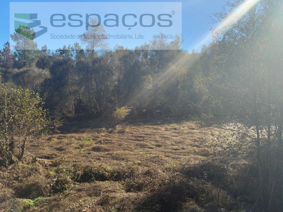 Terreno para Venda em Lavacolhos Foto 12