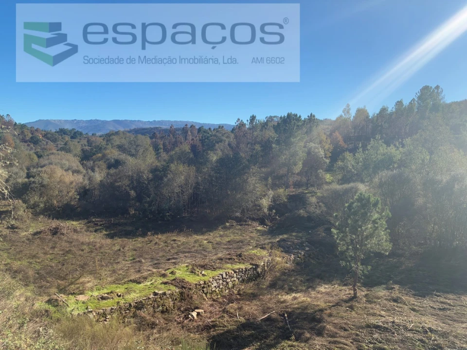 Terreno para Venda em Lavacolhos Foto 13