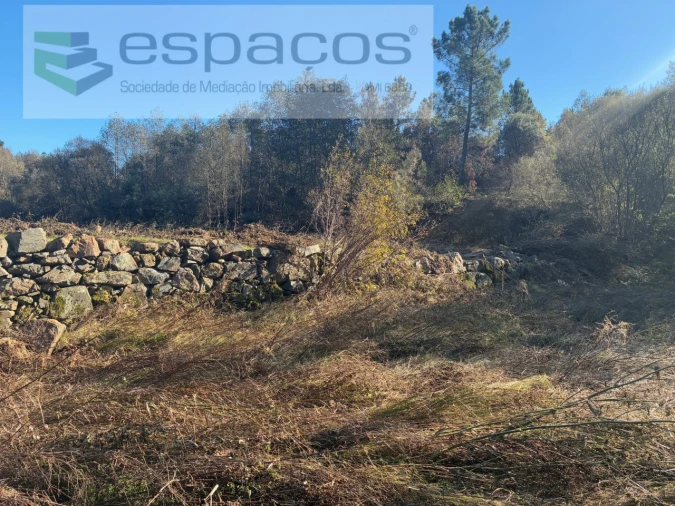 Terreno para Venda em Lavacolhos Foto 5