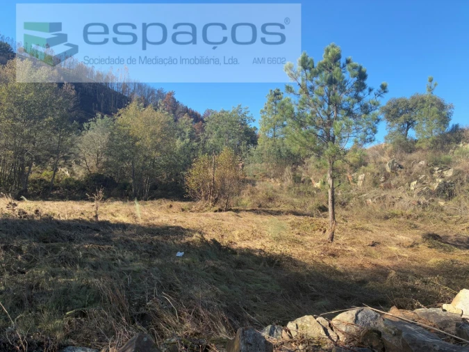 Terreno para Venda em Lavacolhos Foto 8