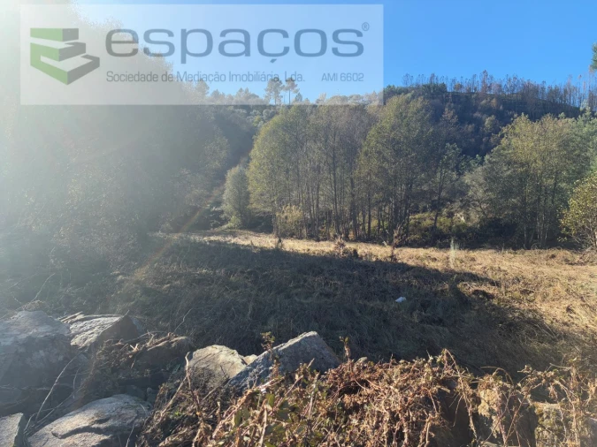 Terreno para Venda em Lavacolhos Foto 10