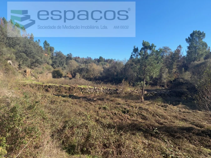 Terreno para Venda em Lavacolhos Foto 11