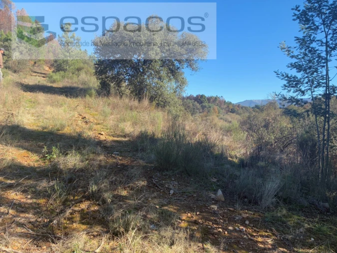 Terreno para Venda em Lavacolhos Foto 15