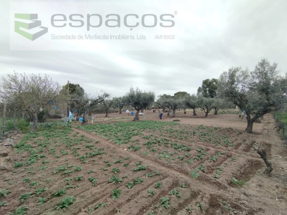Terreno para Venda em Escalos de Cima e Lousa Foto 1