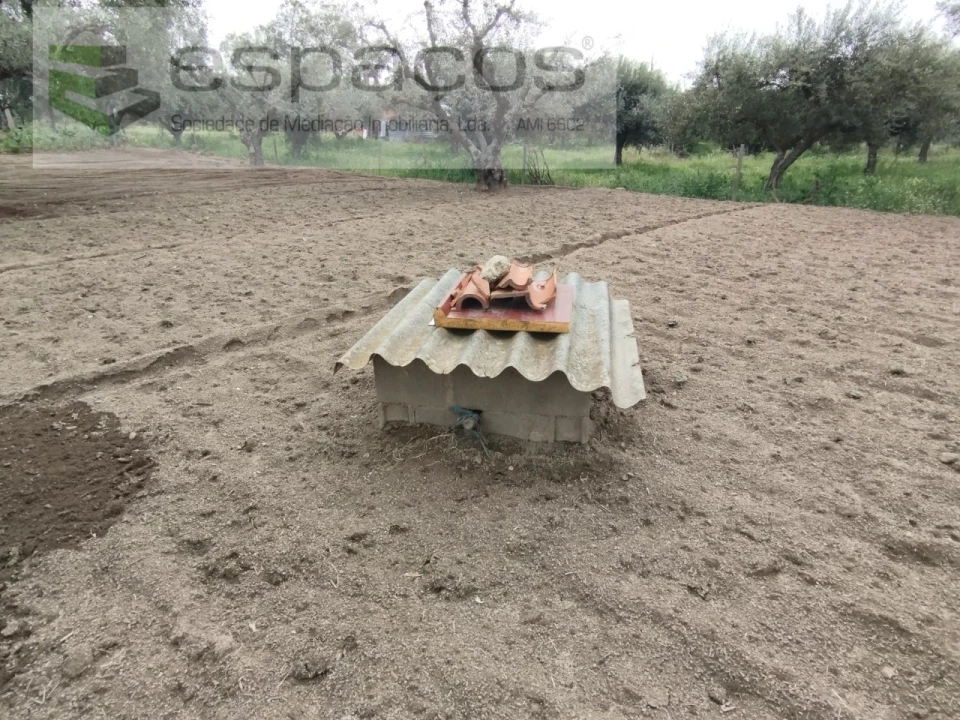 Terreno para Venda em Escalos de Cima e Lousa Foto 11
