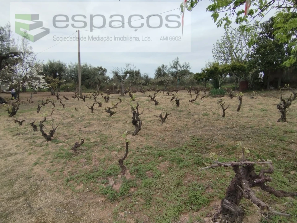 Terreno para Venda em Escalos de Cima e Lousa Foto 12
