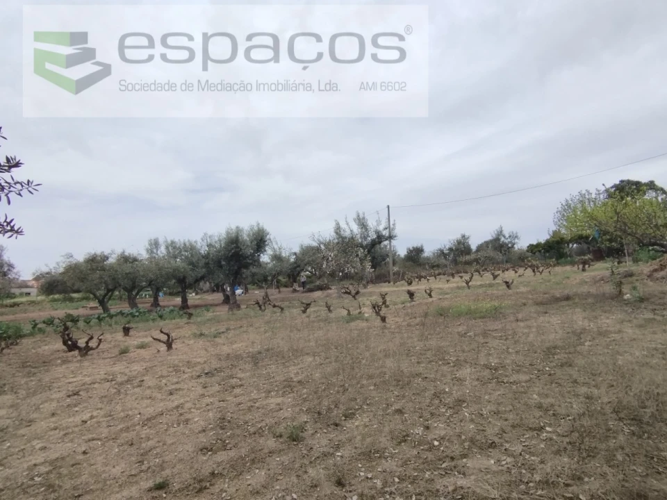 Terreno para Venda em Escalos de Cima e Lousa Foto 16