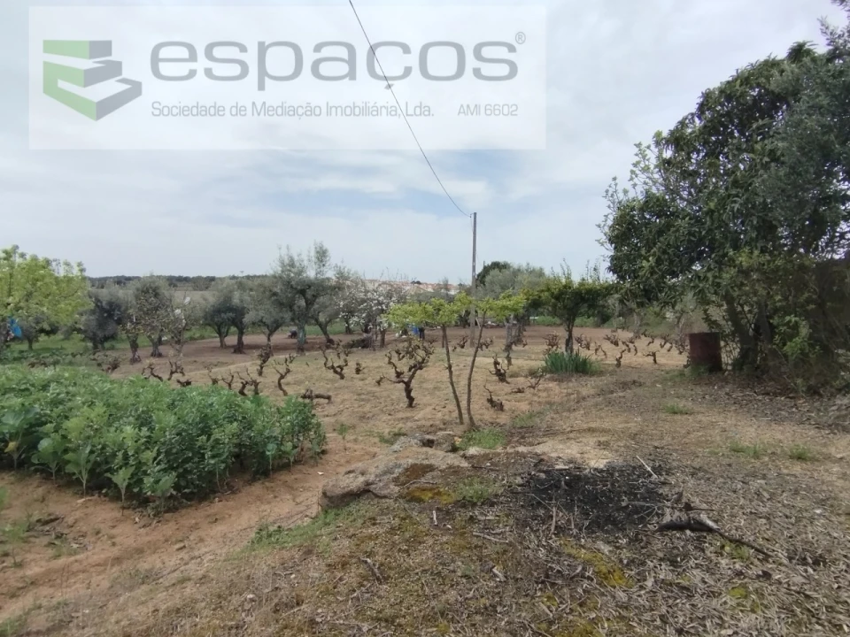 Terreno para Venda em Escalos de Cima e Lousa Foto 17
