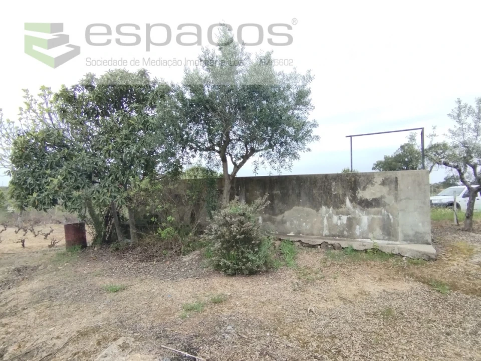 Terreno para Venda em Escalos de Cima e Lousa Foto 19