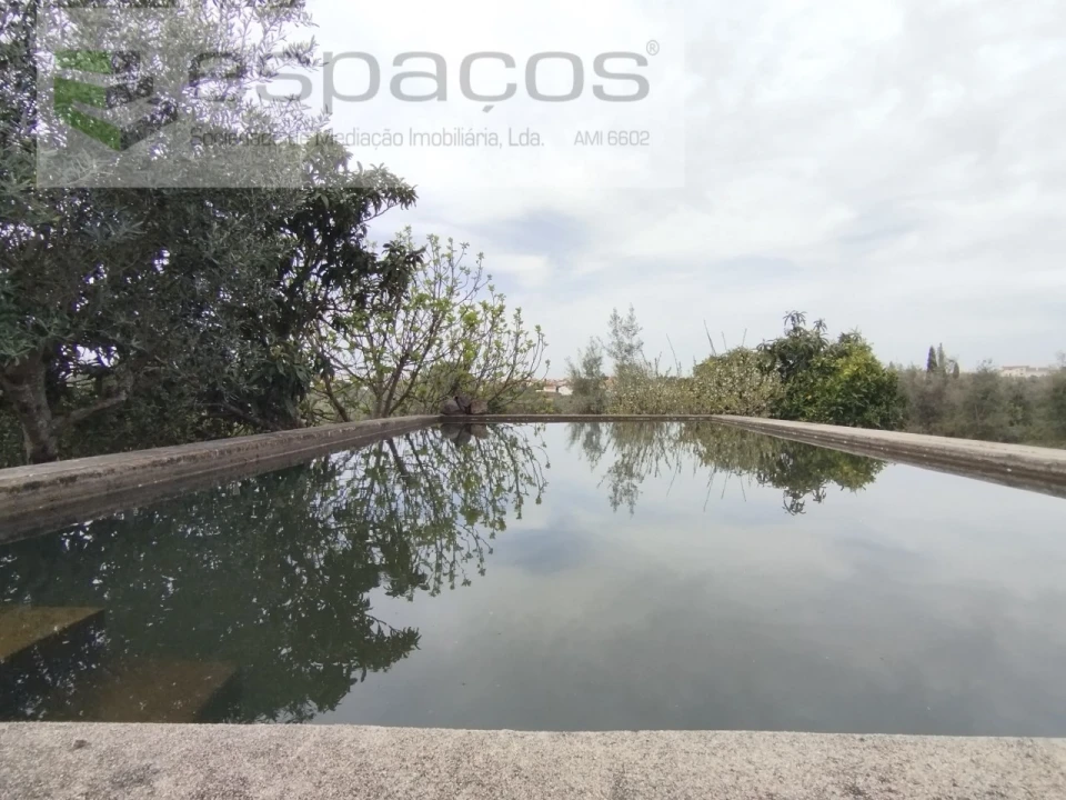 Terreno para Venda em Escalos de Cima e Lousa Foto 20