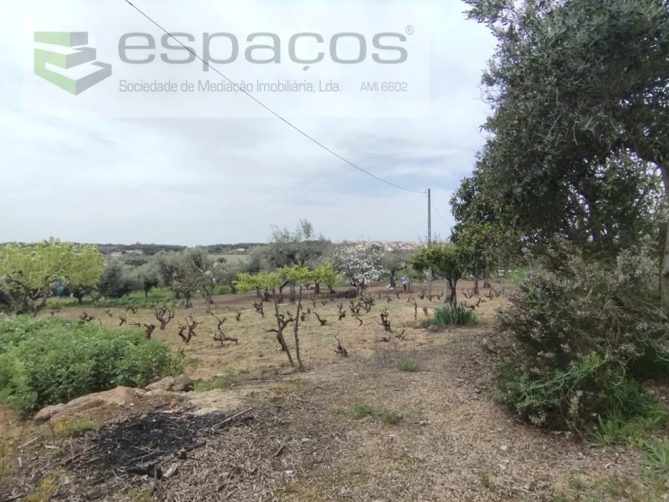 Terreno para Venda em Escalos de Cima e Lousa Foto 21