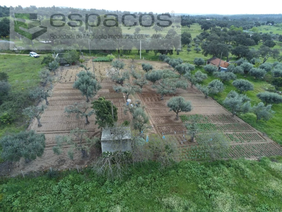 Terreno para Venda em Escalos de Cima e Lousa Foto 2