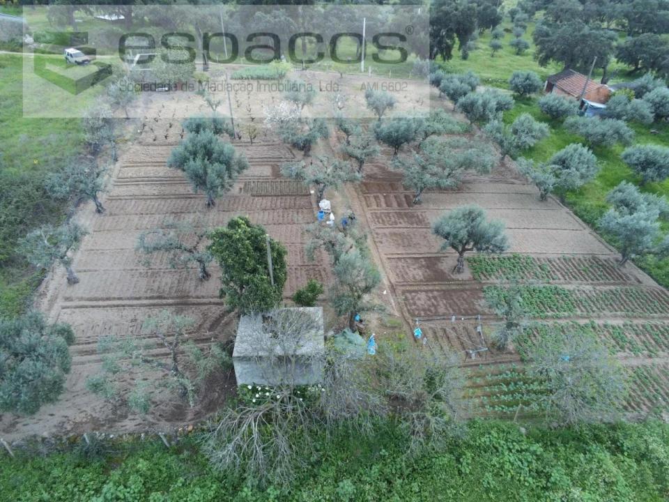 Terreno para Venda em Escalos de Cima e Lousa Foto 25