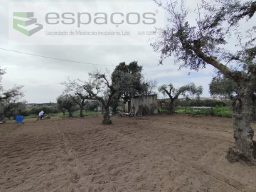 Terreno para Venda em Escalos de Cima e Lousa
